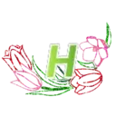 ஸ்டிக்கர்