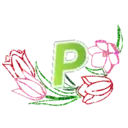 ஸ்டிக்கர்