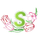 ஸ்டிக்கர்