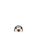 Կպչուն պիտակ