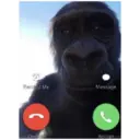 Կպչուն պիտակ