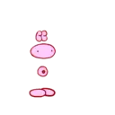 Կպչուն պիտակ