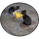 ស្ទីកเกอร์