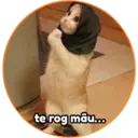 ស្ទីកเกอร์